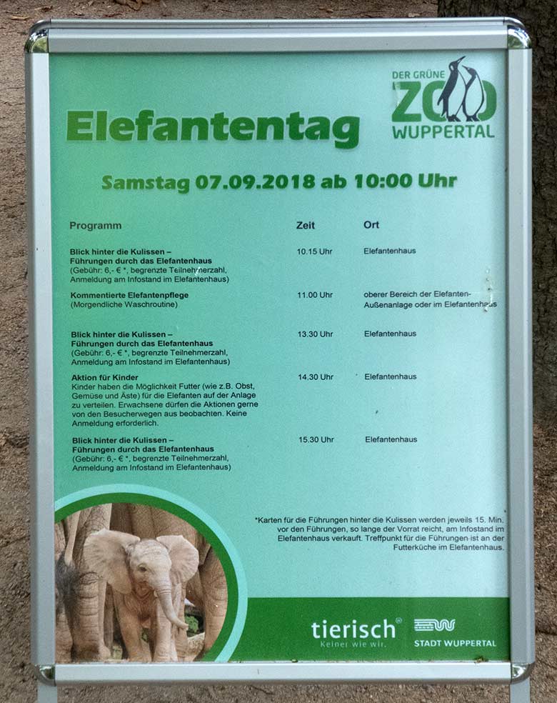 Plakat mit dem Programm am Elefantentag 2019 im Grünen Zoo Wuppertal)