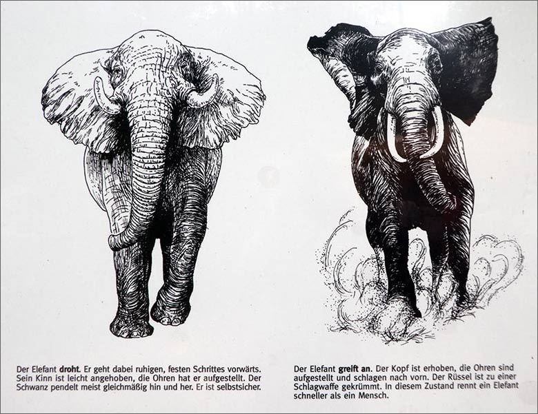 Ausschnitt der Informations-Tafel Verständigung unter Elefanten am 19. September 2019 an der Elefanten-Außenanlage im Wuppertaler Zoo