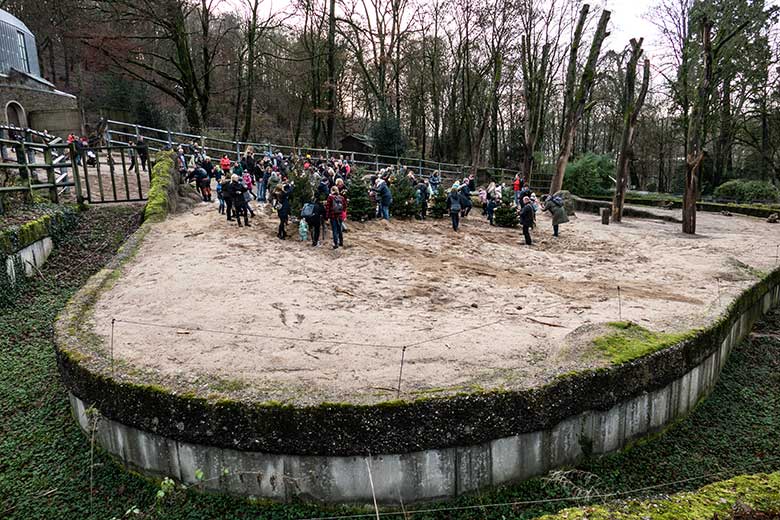 Zoogäste beim Schmücken der Nadelbäume am 21. Dezember 2022 auf der größeren Außenanlage im Grünen Zoo Wuppertal