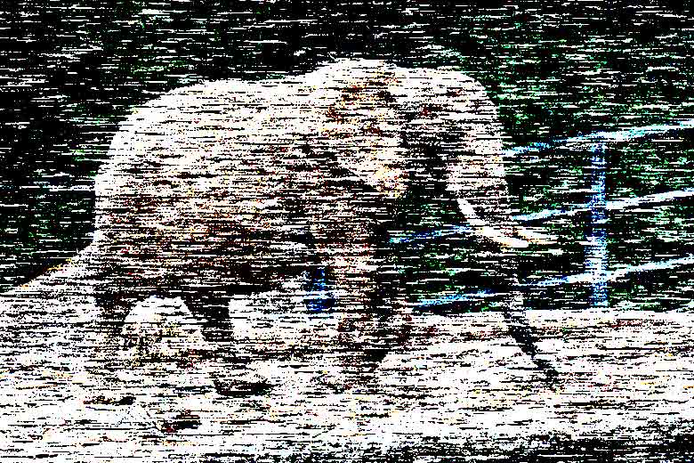 Symbol-Bild eines Elefanten im Grünen Zoo Wuppertal