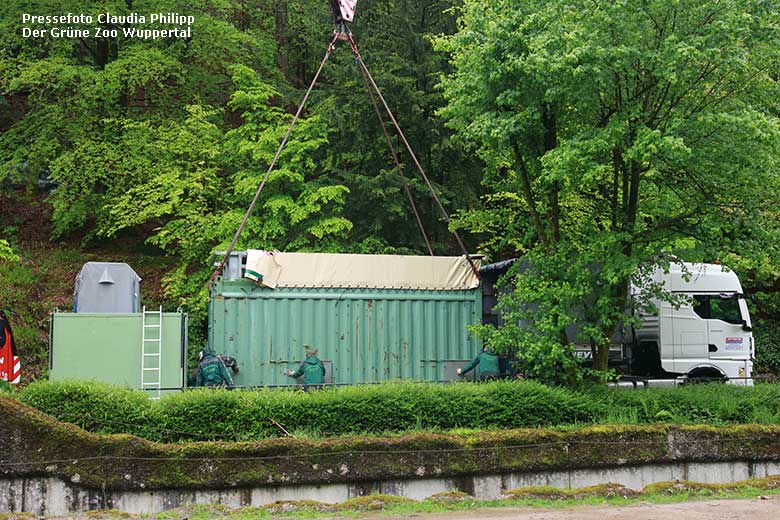 Transport-Container mit der Afrikanischen Elefanten-Kuh SWENI am 3. Mai 2024 bei der Verladung auf den Tieflader im Wuppertaler Zoo (Pressefoto Claudia Philipp - Der Grüne Zoo Wuppertal)