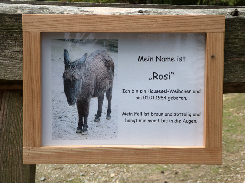 Namentliche Ausschilderung des Hausesels ROSI am 1. September 2018 im Zoo Wuppertal