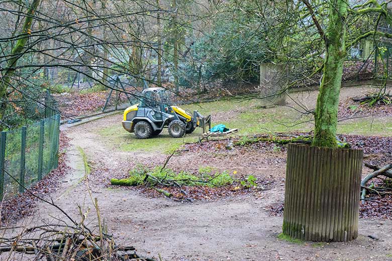 Gabelstapler am 29. November 2021 auf der Kiang-Anlage im Grünen Zoo Wuppertal