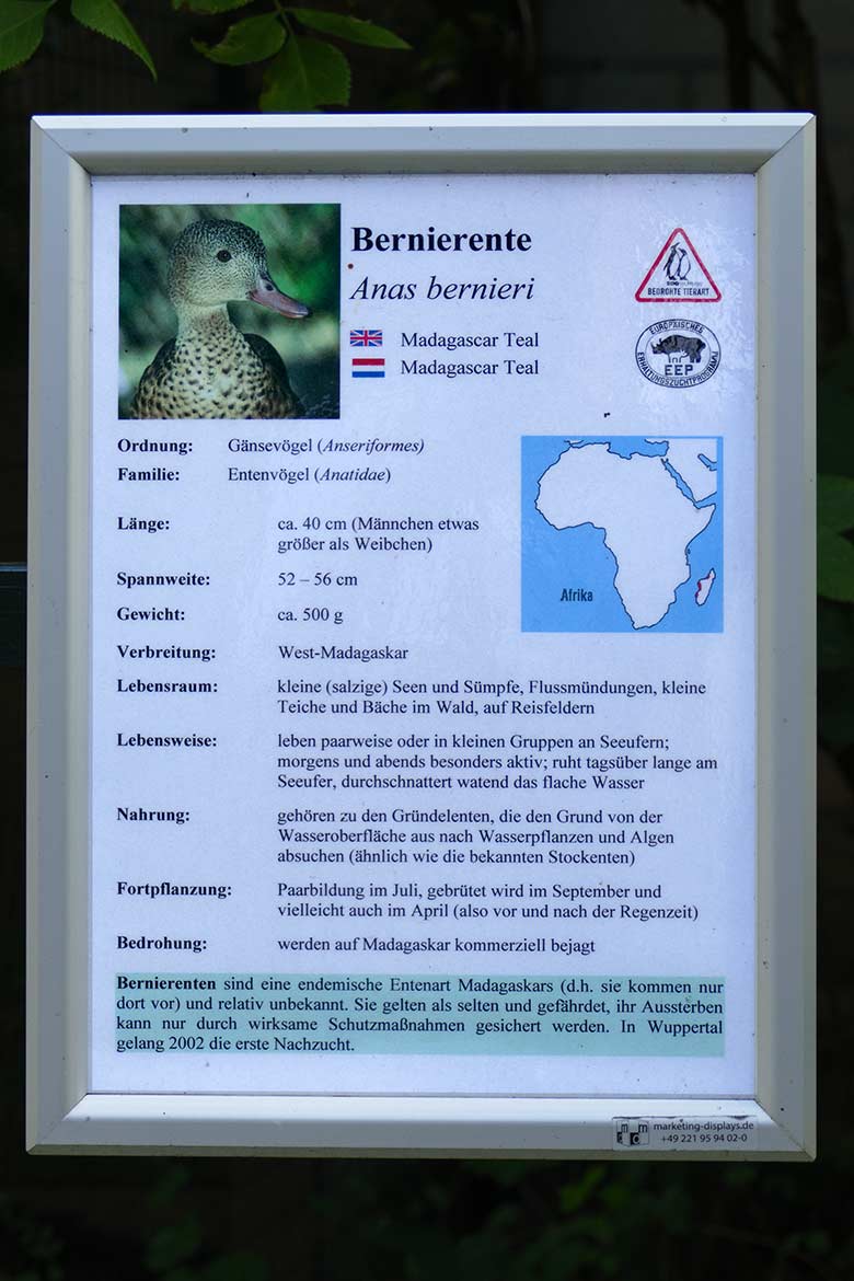 Ausschilderung Bernierente am 7. September 2020 an der Madagaskar-Voliere neben dem historischen Gebäude der Zoo-Direktion im Wuppertaler Zoo