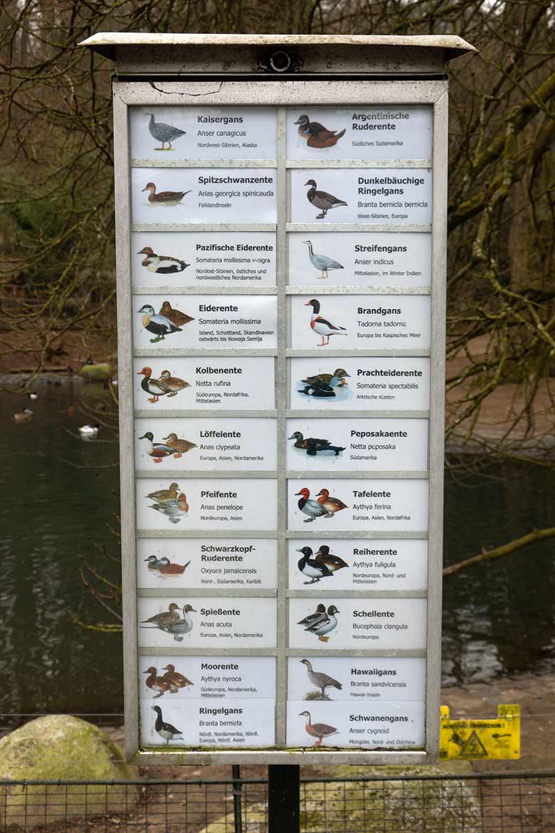 Ausschilderung der Vogel-Arten am 8. März 2021 am Teich für Wassergeflügel in der Nähe des Blumenrondells im Grünen Zoo Wuppertal