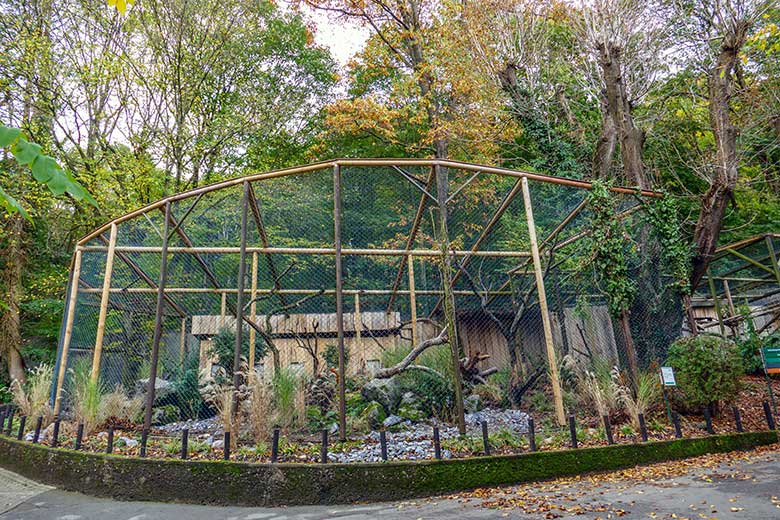 Neue Voliere für Andenkarakaras am 25. Oktober 2022 neben dem Kleinkatzen-Haus im Zoologischen Garten Wuppertal