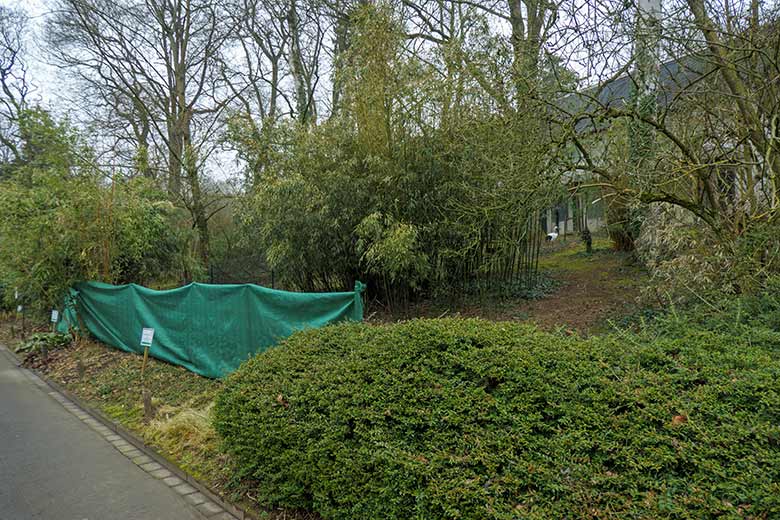 Aktuelle Anlage für Mandschurenkraniche am 8. März 2021 unterhalb des Vogel-Hauses im Grünen Zoo Wuppertal
