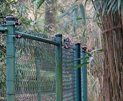 Neue Elektrodrähte am Zaun der Freianlag für Weißnackenkraniche am 28. Januar 2016 im Zoologischen Garten der Stadt Wuppertal