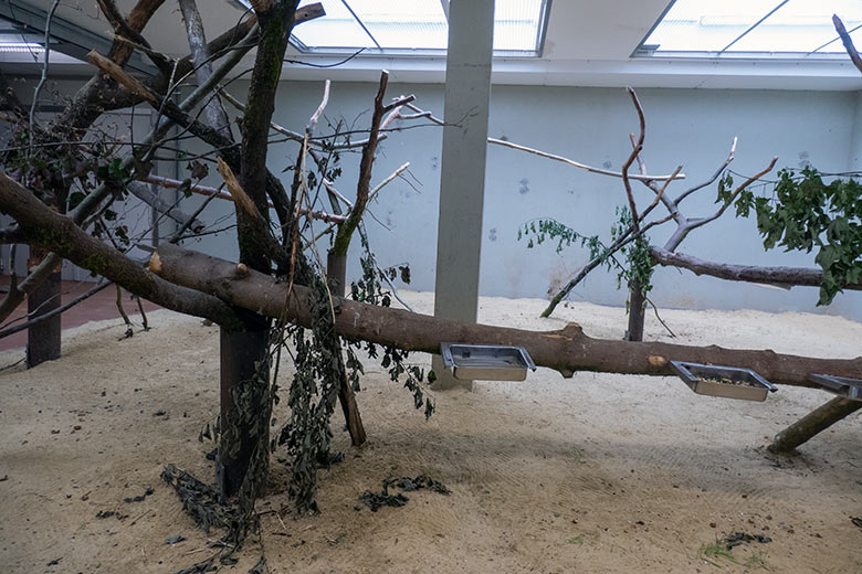 Leeres Innengehege für Hyazinth-Aras am 4. Juni 2024 im Aralandia-Haus im Zoologischen Garten der Stadt Wuppertal