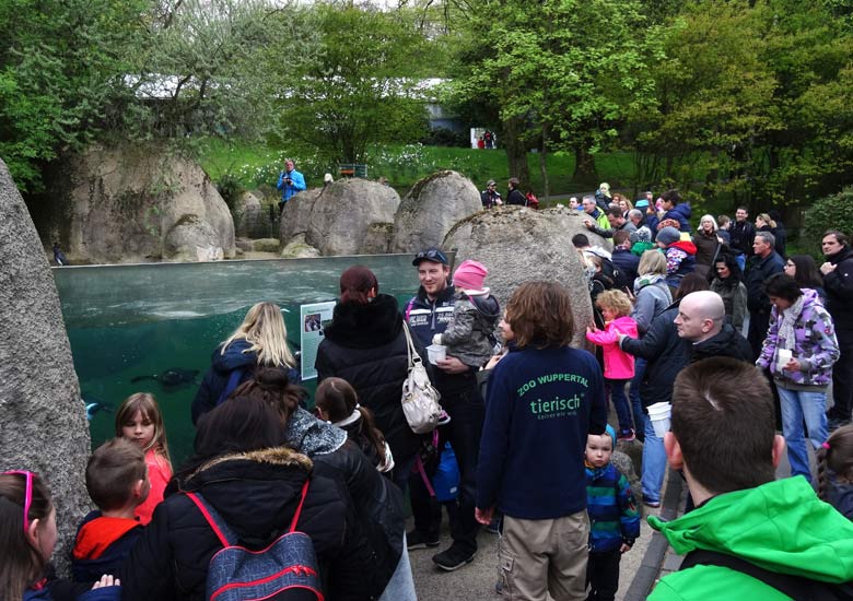 Pinguintag am 23. April 2017 im Zoo Wuppertal