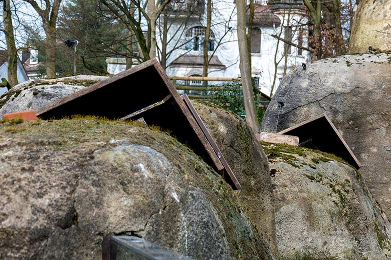 Holzwinkel auf den Kunstfelsen der Anlage für Brillenpinguine am 16. Februar 2023 im Wuppertaler Zoo