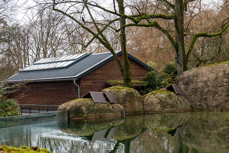 Holzwinkel auf den Kunstfelsen der Anlage für Brillenpinguine am 20. Februar 2023 im Grünen Zoo Wuppertal