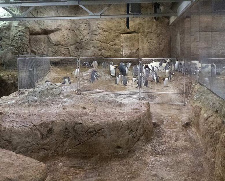 Pinguin-Haus ohne Wasser am 15. Dezember 2018 im Grünen Zoo Wuppertal