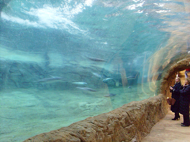 Neue Pinguin-Anlage im Zoologischen Garten Wuppertal am 23. März 2009