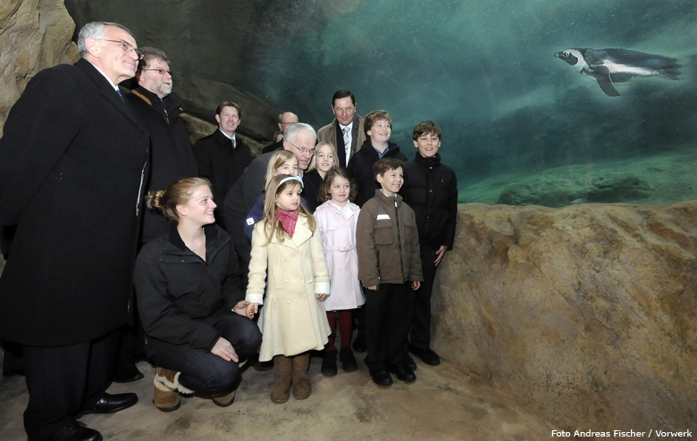 Offizielle Eröffnung der neuen Pinguin-Anlage im Zoo am 23. März 2009 (Foto Andreas Fischer / Vorwerk). Anmerkung: Es handelt sich um eine Foto-Collage. Rechts im Bild ein Brillenpinguin. Beim Fototermin waren leider keine Pinguine im Wasser.