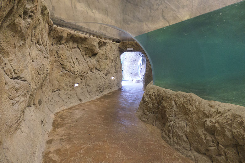 Tunnel mit wenig Wasser am 16. Februar 2022 im Pinguin-Haus im Zoologischen Garten Wuppertal