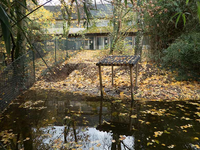 Grabungsloch auf dem zukünftigen Areal der Weißstörche am 11. November 2018 im Grünen Zoo Wuppertal